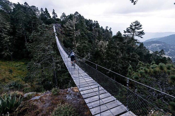 Scenic Bike Ride - Photo 1 of 25