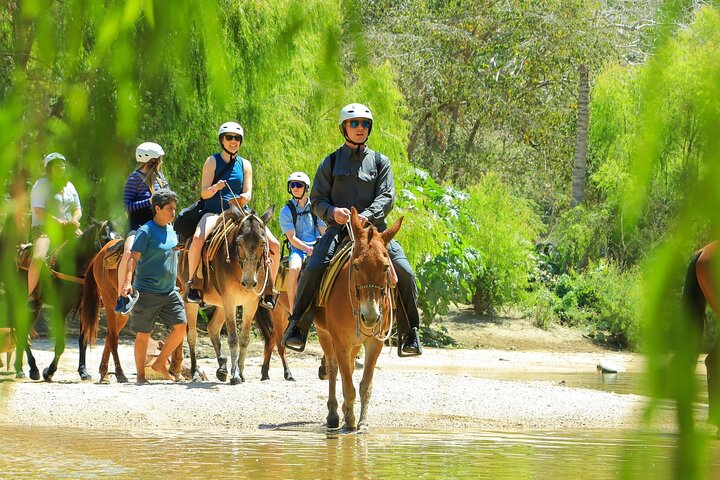 Sea Safari & Beach BBQ at secluded Pizota jungle beach - Photo 1 of 16