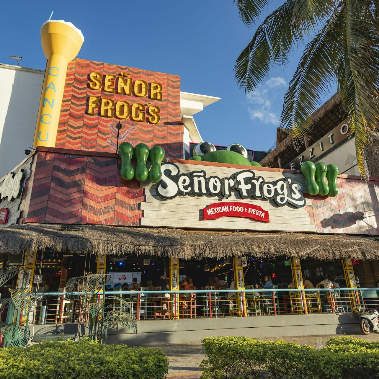 Señor Frog's Cancún: Frog's Pass - Photo 1 of 15