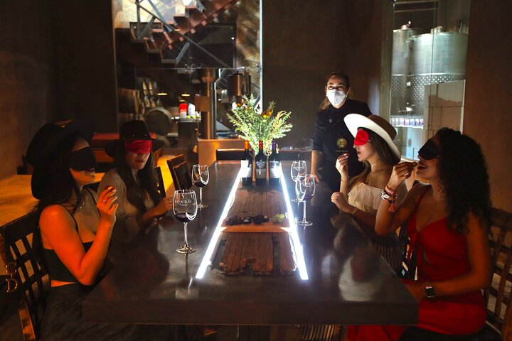 Blind Sensory Tasting: Wines and Artisanal Chocolates - Photo 1 of 9