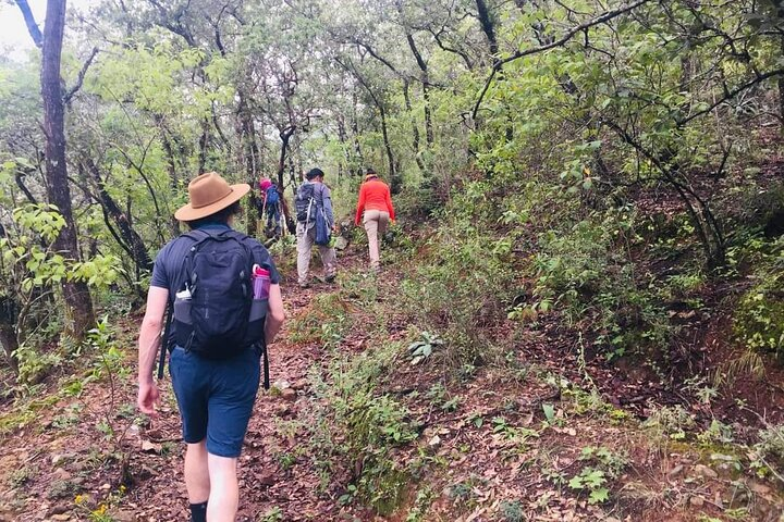 Sierra Norte 1 Day Guided Hiking - Photo 1 of 6