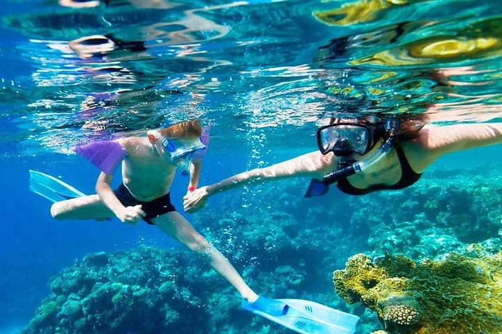 SkyReef Snorkel