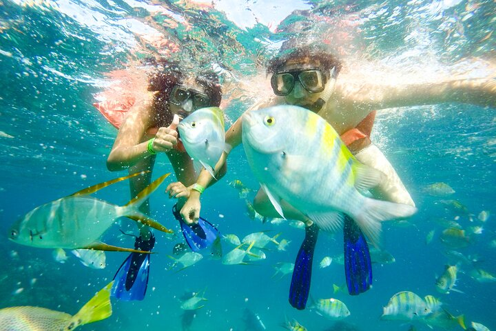Snorkel at Pelican´s Beach Cabo San Lucas - Classic - Photo 1 of 6