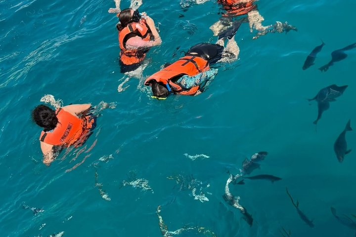 Snorkeling Catamaran Tour at Santa Maria Bay - Photo 1 of 13