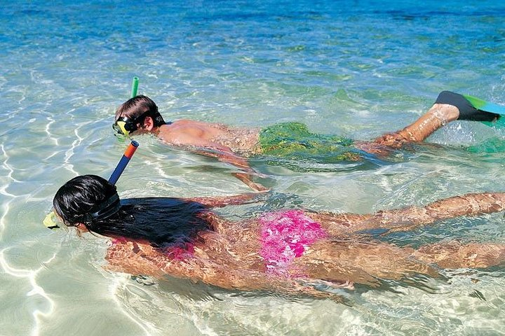 The Best Snorkeling Experience 
