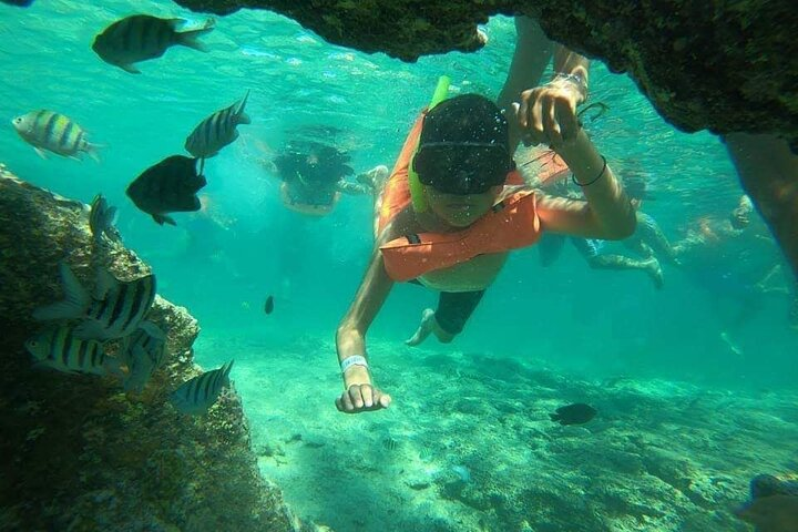 Snorkeling in Isla Mujeres and Underwater Museum - Photo 1 of 9