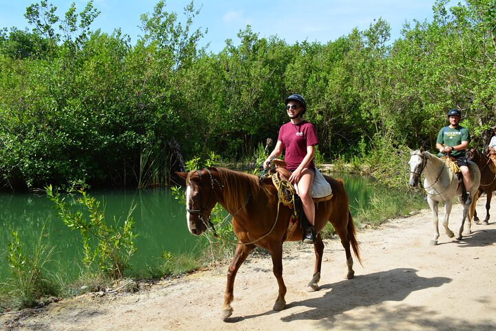 Horseback Riding
