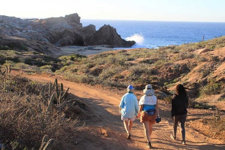 Sunrise Guided Desert Hike in Los Cabos - Photo 1 of 6