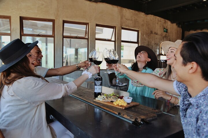 Tasting of 5 wines and tour at the winery Rondo del Valle - Photo 1 of 9