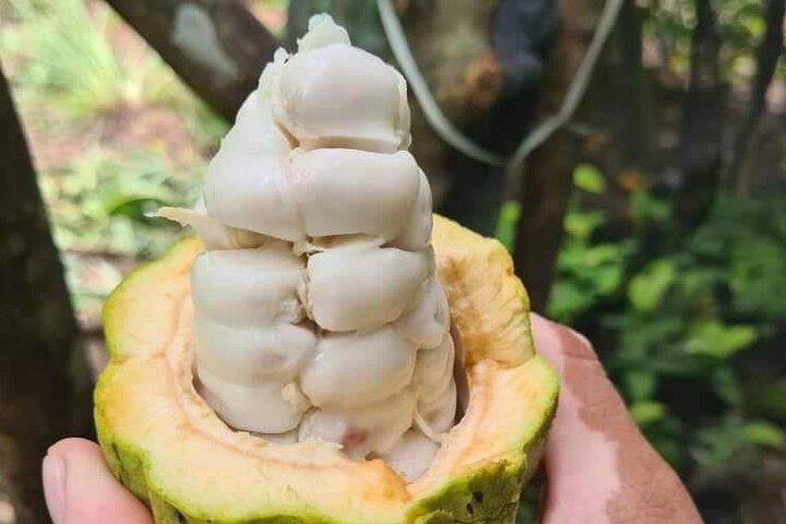  Chulas Beach Club Daypass with Kayaks and Paddle Board - Photo 1 of 7