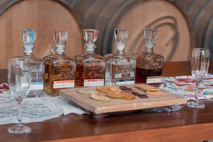 Tequila Day Trip - Photo 1 of 8