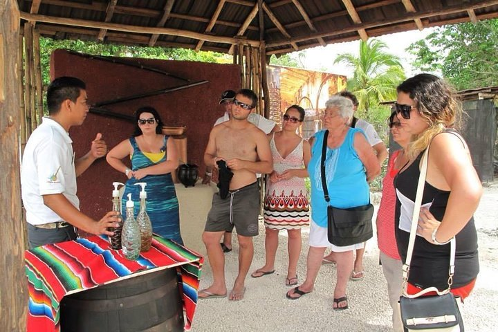 Tequila History and Tasting Experience and Unlimited Beach Break - Photo 1 of 5