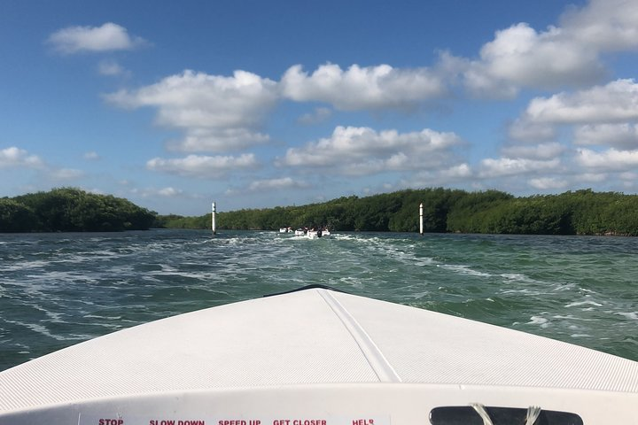 Speed boat adventure and snorkel at Cancun