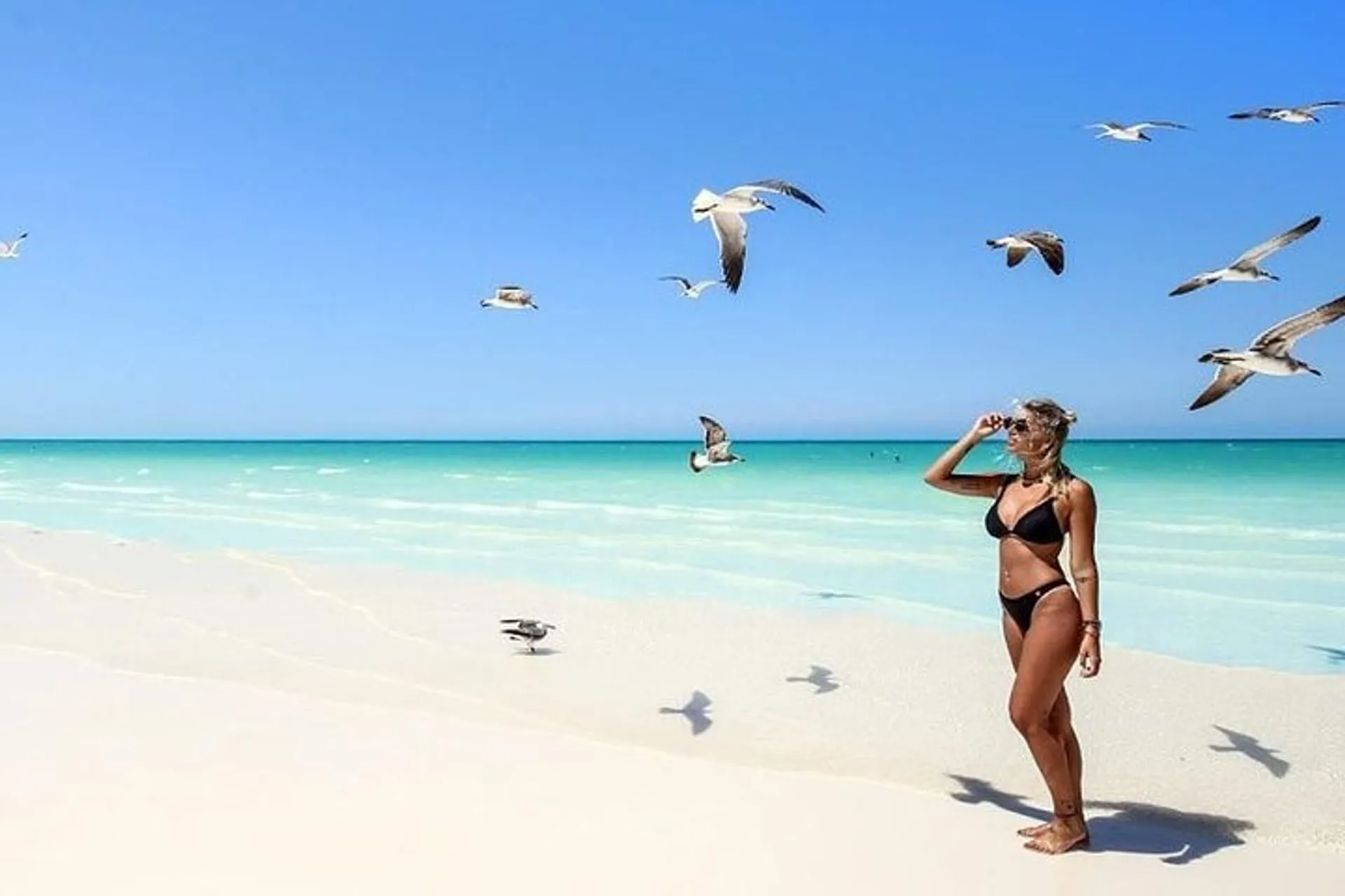Punta Mosquito