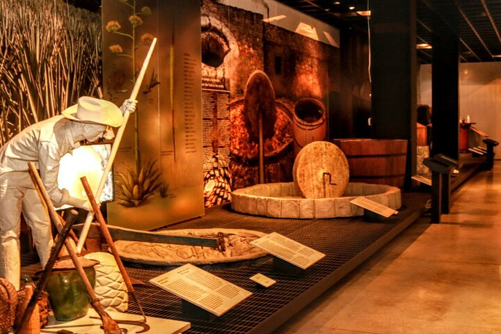 Tequila & Mezcal Exclusive Tour - Photo 1 of 7