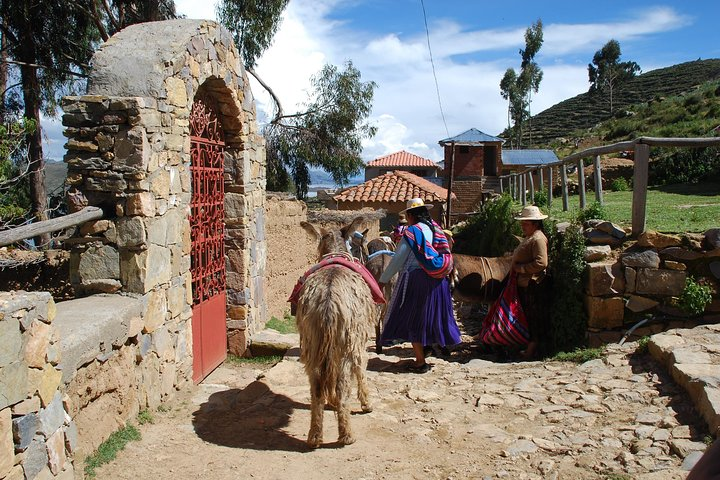 Titikaka Lake & Sun Island - 2 Days - Private Service - English Speaking Guide - Photo 1 of 14