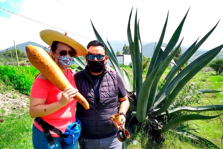 Tour de Pulque en Tepotzotlán, Pueblo Mágico - Photo 1 of 6