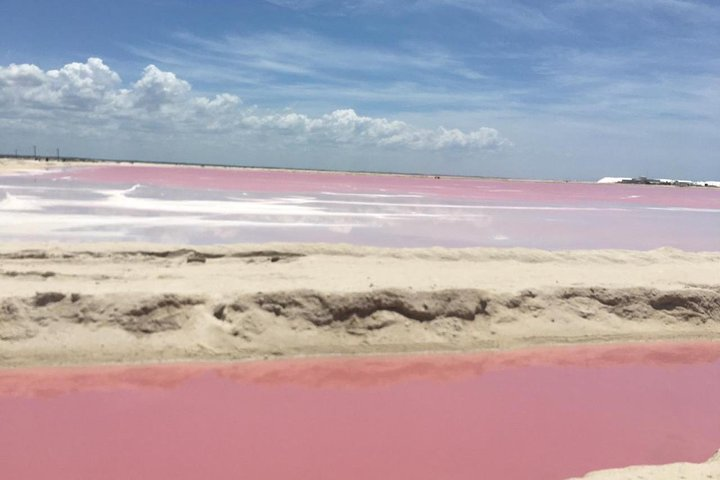 Tour Las Coloradas and Rio Lagartos - Photo 1 of 8
