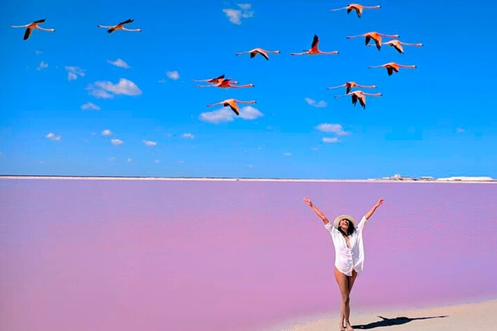 Las Coloradas Pink Lakes & Río Lagartos Wildlife Tour - Photo 1 of 25