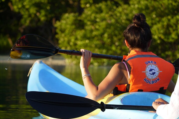 Tour the Mangroves in Kayak by Isla Holbox - Photo 1 of 14