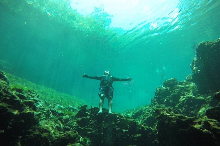 Swimming with turtles, 2 cenotes & gopro - Photo 1 of 8