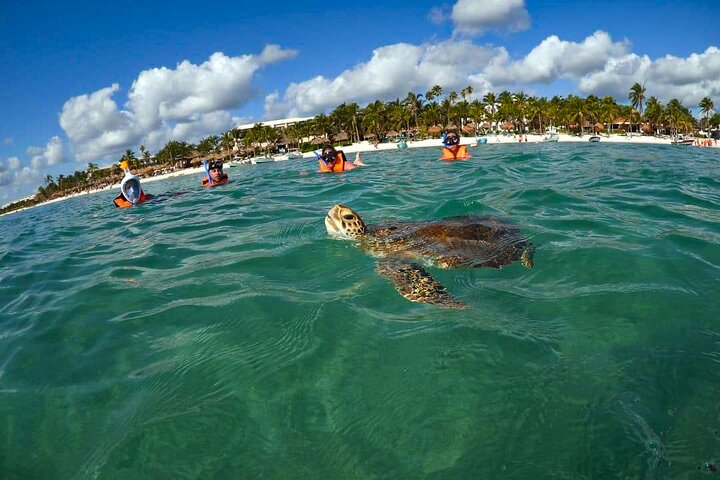 Tour to swim with turtles - Photo 1 of 8