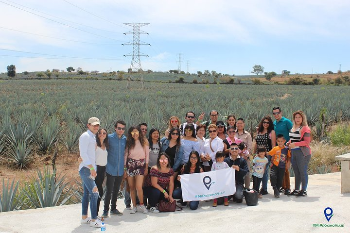 Tour to Tequila and Los Cantaritos de Amatitán from Guadalajara - Photo 1 of 7