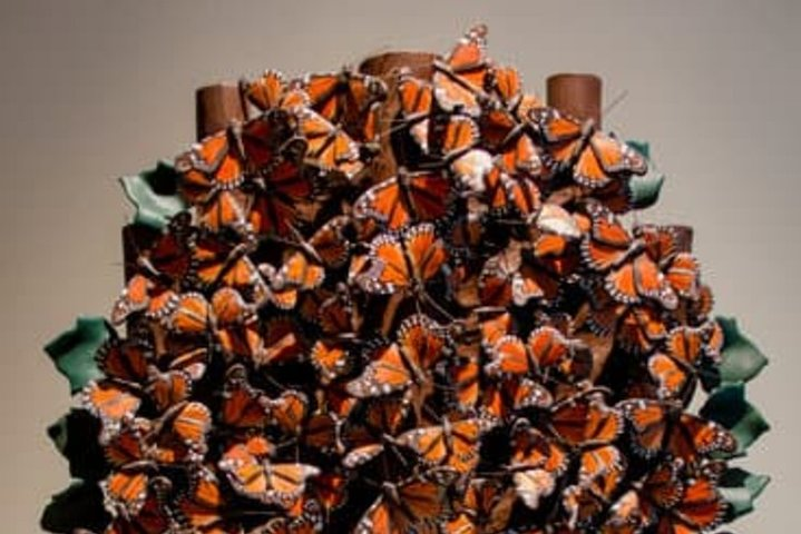 Tree of Life - Photo 1 of 6