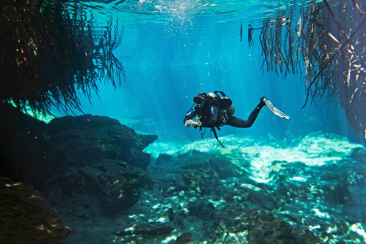 Try dive in beautiful Casa cenote for 2 people - Photo 1 of 5