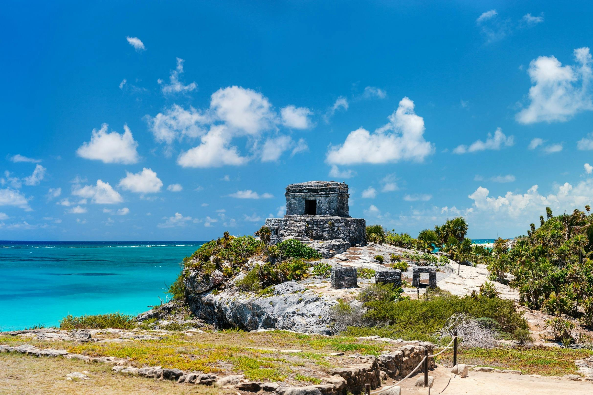 Tulum: Snorkeling with Turtles in Akumal + Mariposa Cenote + Lunch + Transfer - Photo 1 of 7
