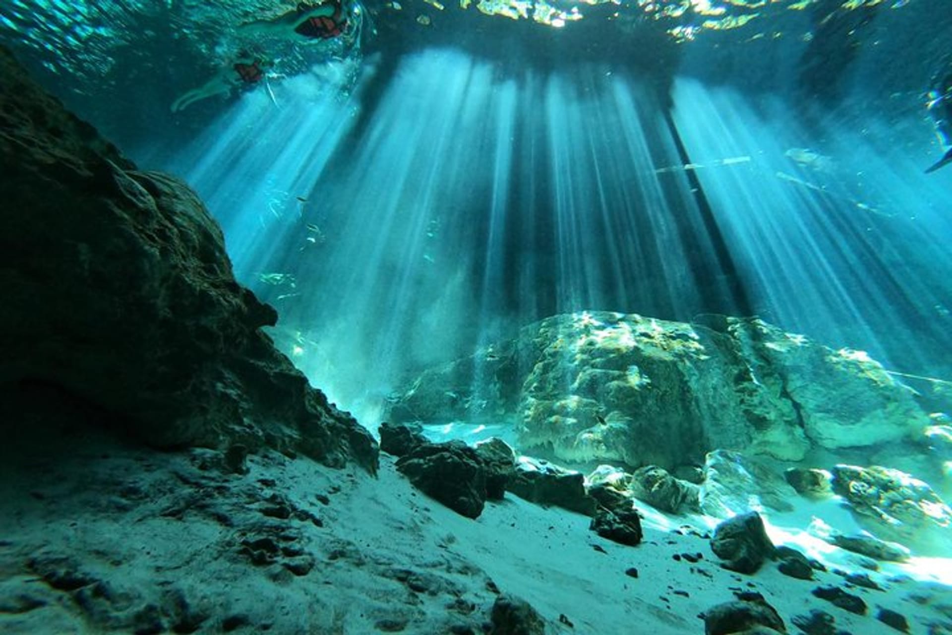 Tulum Mexico Cenote Diving