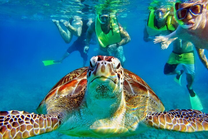 Tulum Mayan Ruins and Snorkeling with Turtles at Akumal - Photo 1 of 9