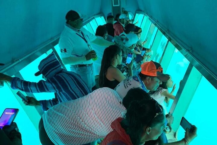 Underwater Exploration and Ocean Sighting Tour in Los Cabos - Photo 1 of 18