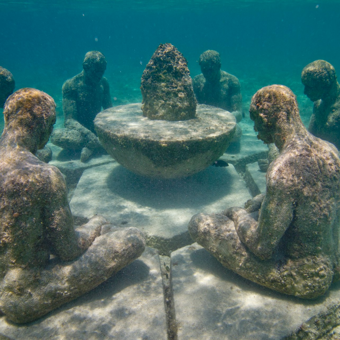 Cancún: MUSA Underwater Art Museum Glass-Bottomed Boat Tour with Drink - Photo 1 of 4