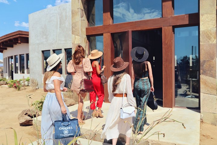 Complete Experience: Tasting, Tour and Gardens | Rondo del Valle - Photo 1 of 15