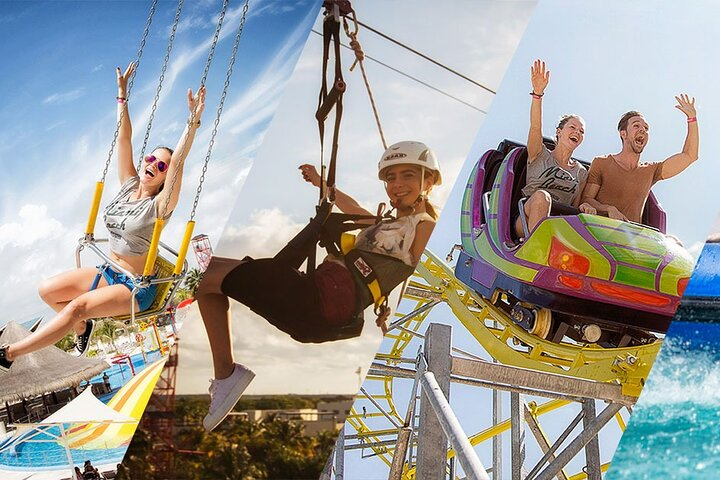 Meeting at the Dolphinarium - Photo 1 of 6