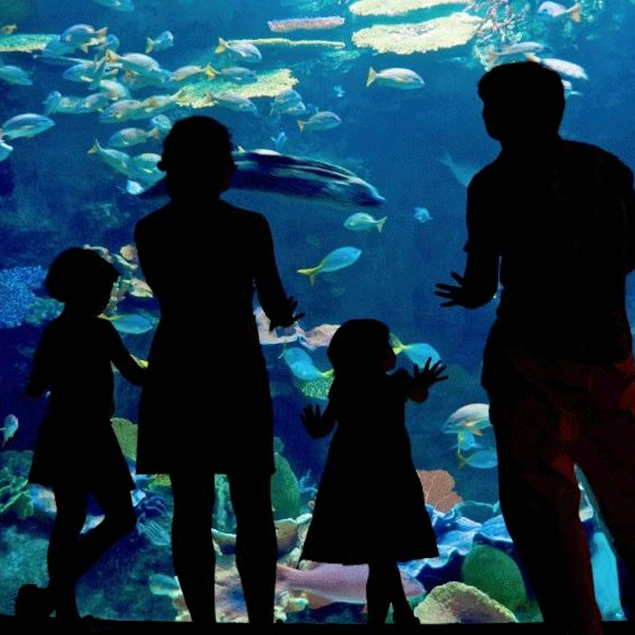 Veracruz & Mandinga Lake Highlights Tour - Photo 1 of 6