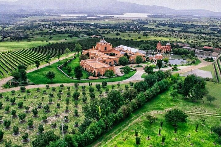 Vineyard, tour, tasting and fun in San Miguel de Allende - Photo 1 of 8