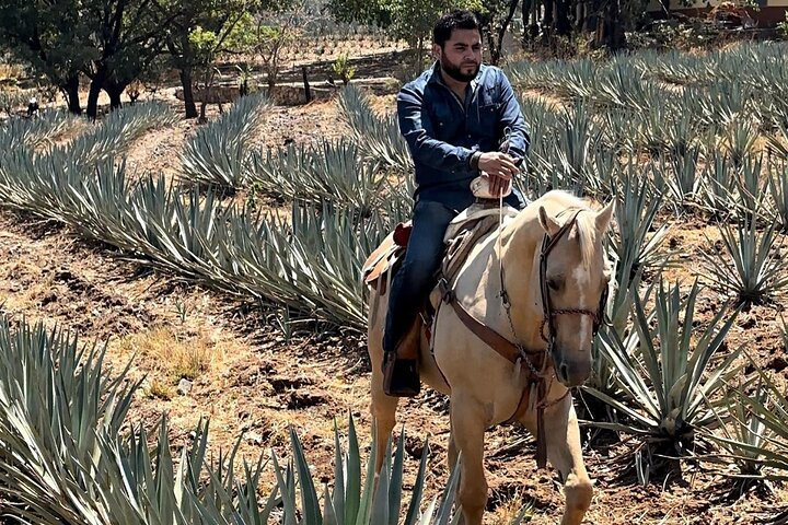 Visit to Tequila and Horseback Riding Among the Agave Landscape - Photo 1 of 10