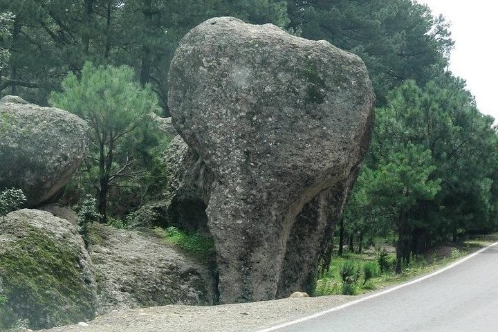 Elephant Stone