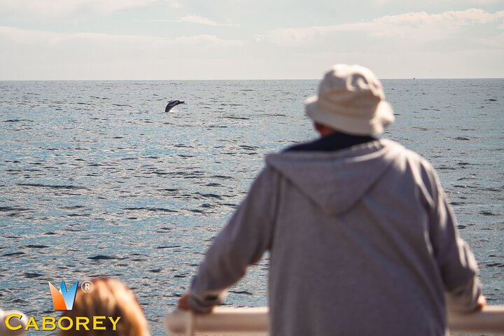Cabo Whale Watch Three-Level Vessel and Majestic Arch - Photo 1 of 16