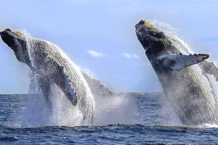 See them up close and personal!