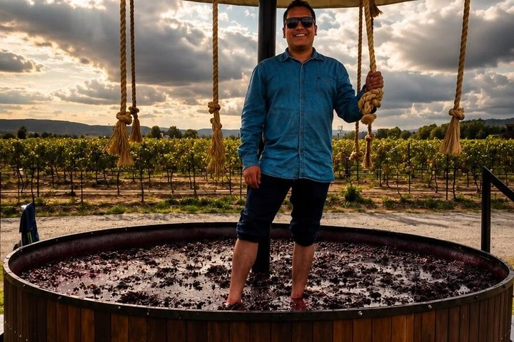 Full Day Harvest Season Wine Tour & Grape Stomping Tequisquiapan - Photo 1 of 11