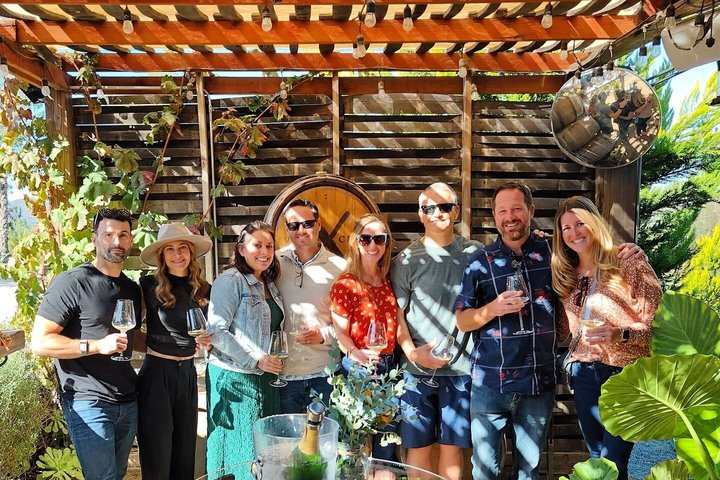 Wine Tasting Tour ONLY for Cruise Ship Visitors. ALL INCLUSIVE! - Photo 1 of 22