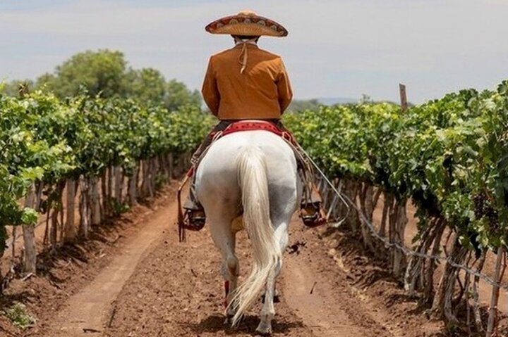 Wine Tour and Horseback Ride through the Mountains of Guanajuato - Photo 1 of 4