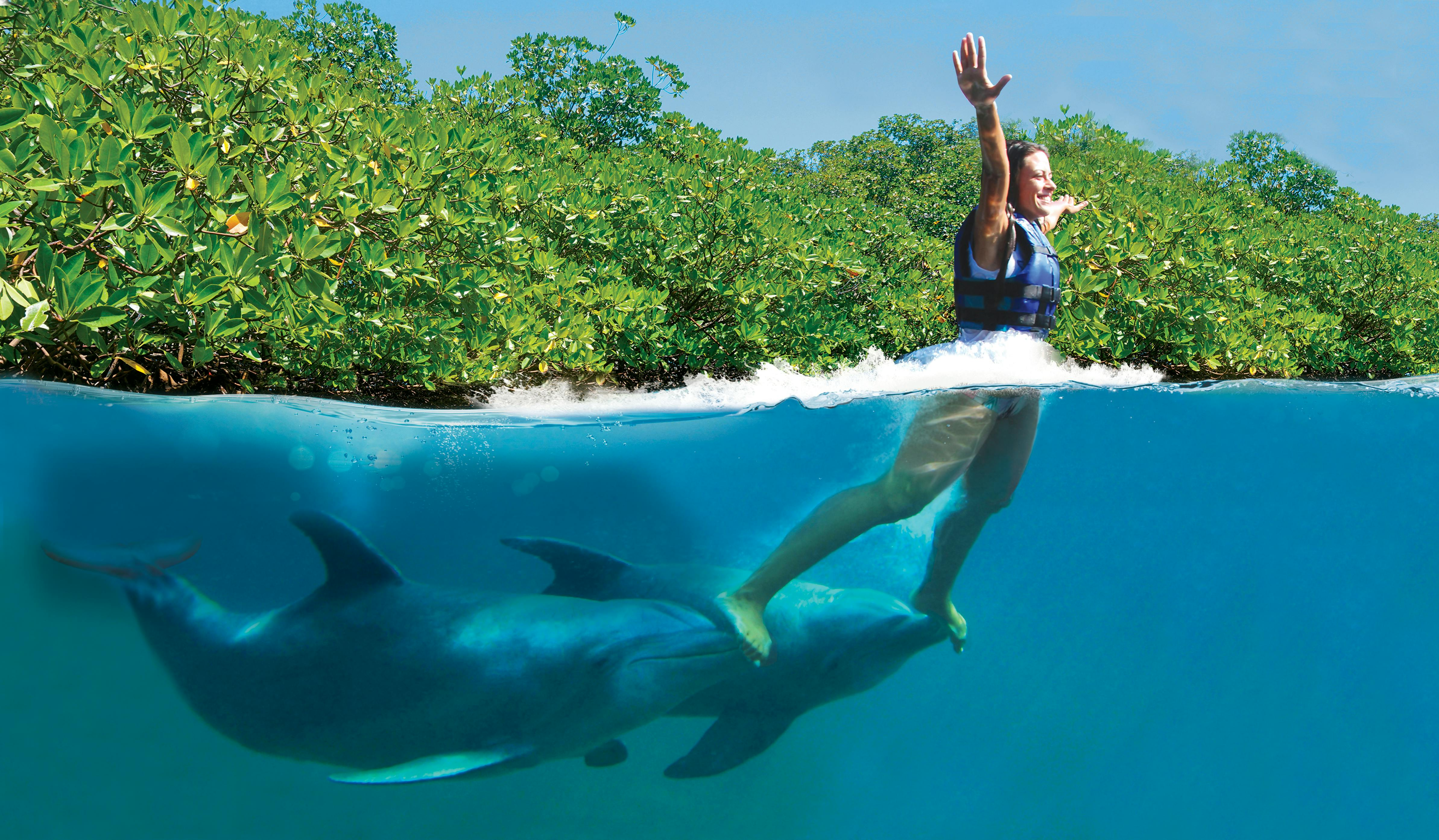 Delphinus Xcaret: Entry Ticket + Transfers + Swim with Dolphins - Photo 1 of 6
