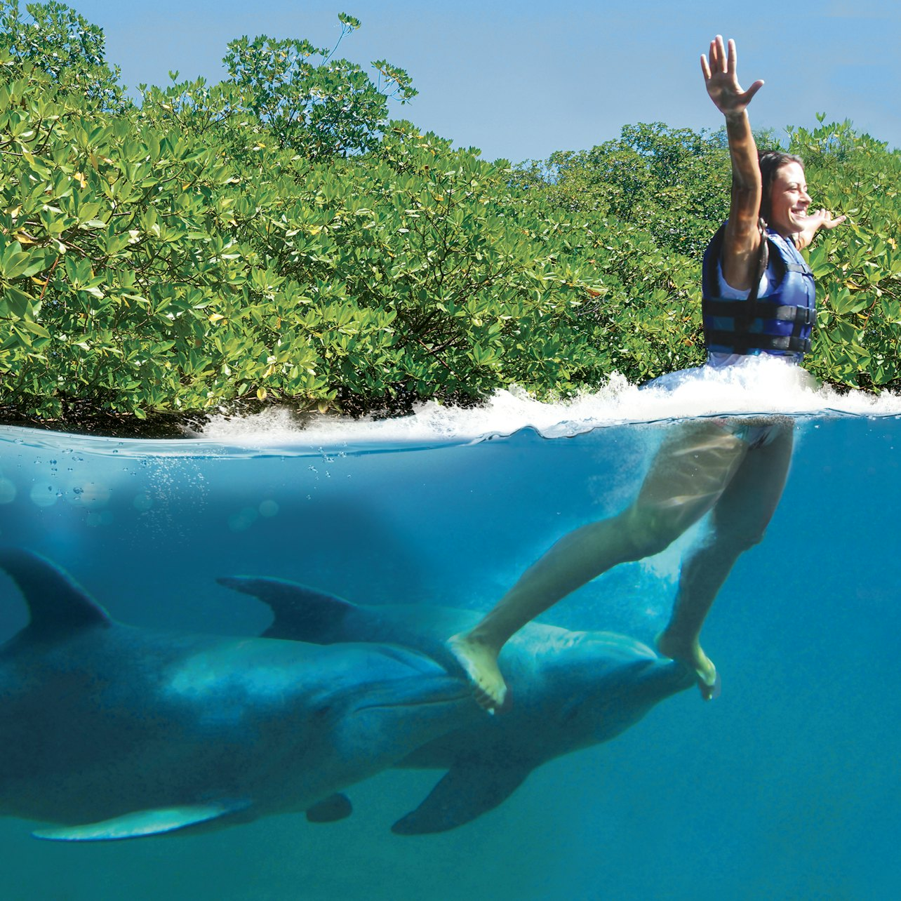 Delphinus Xcaret: Entry Ticket + Transfers + Swim with Dolphins - Photo 1 of 6