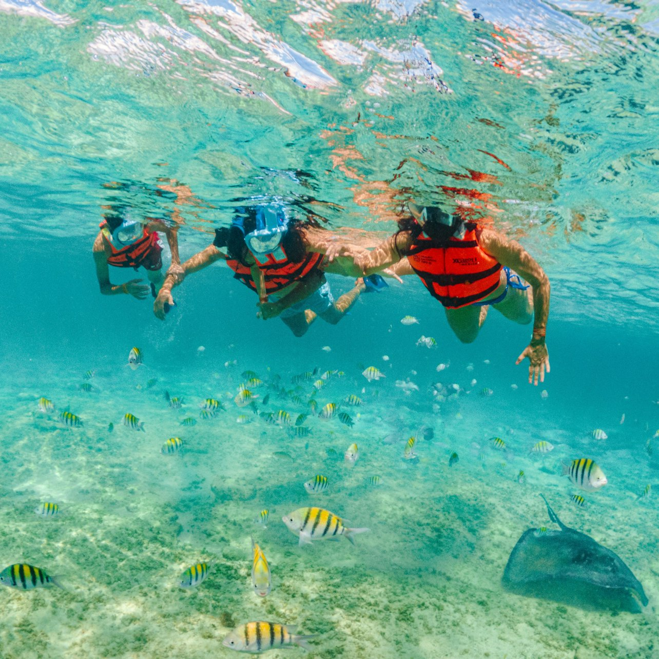 Xcaret Park: Entry Ticket - Photo 1 of 12