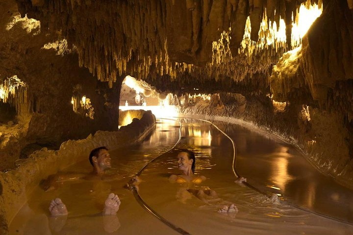 Xenses Ticket - Photo 1 of 7