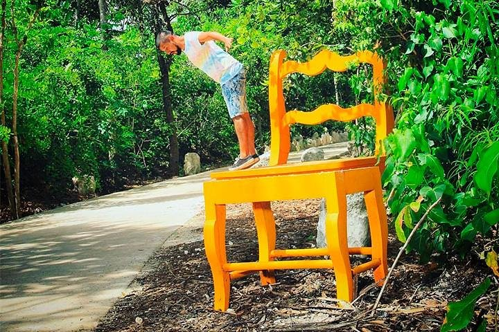 Free your feelings in an incredible Park.